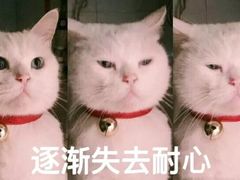 -优衣库(银座店)