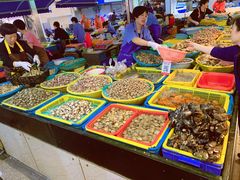 -东河市场