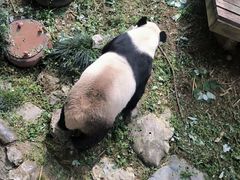 -南昌动物园