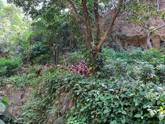 -广州市白云山风景名胜区