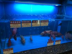 -协成海鲜火锅(海洋花园店)