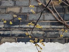 -南京市民俗博物馆(甘熙故居)