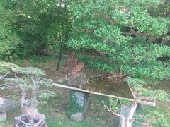 -团城山公园