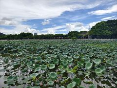 -顺峰山公园