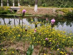 -东郊湿地公园