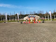 -上海海湾国家森林公园