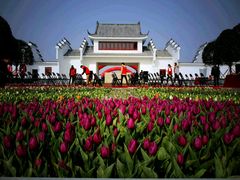 -金卉庄园