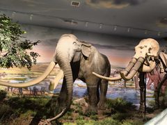 -湖南省地质博物馆