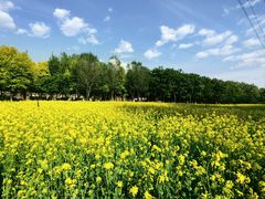 -长白岛森林公园