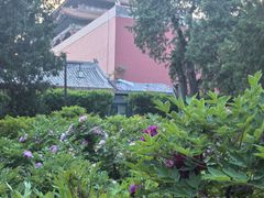 -北京市劳动人民文化宫(太庙)