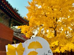 -承恩寺