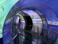 -房山世界地质公园博物馆