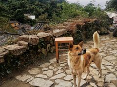 -杨家堂村