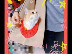 -麦当劳(祈年大街店)