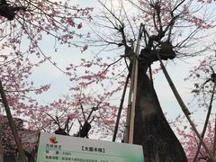 -万顷园艺世界