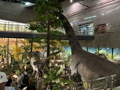 -湖南省地质博物馆