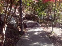 -崂山巨峰游览区