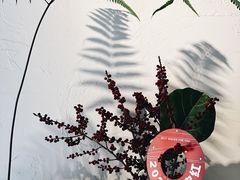 -竹子咖啡bamboo coffee