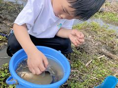 -中国天府农业博览园