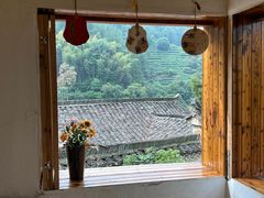 -杨家堂村