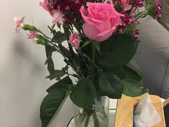 -绿房子心理咨询