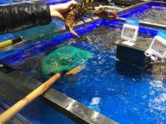 -盒马鲜生(昆城店)