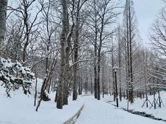 -白水寺森林公园
