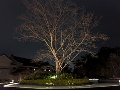 -影吧•悬崖海景(珠海凤凰湾悦椿酒店)