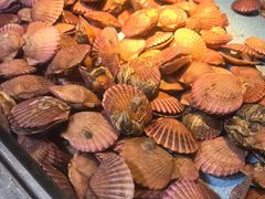 -圣罗巴海鲜烤肉自助(佳兆业店)