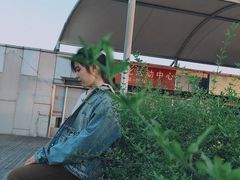 -松江大学城体育馆滑冰馆