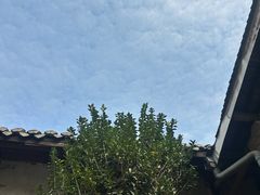 -恺庐茶园(宽窄巷子景区店)