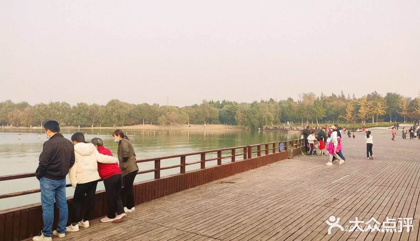 免费公园 近距离接触小动物