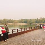 免费公园 近距离接触小动物