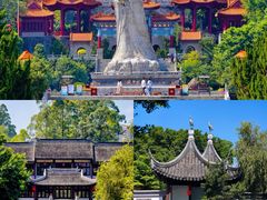 -南沙蒲洲花园
