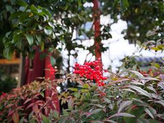 -古韵餐厅(湖畔大学店)