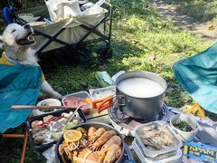 -桤木河湿地公园