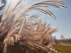 -汉长安城未央宫国家考古遗址公园