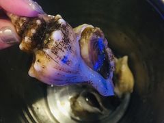 -质烤烤物·活烤海鲜(质烤总店)