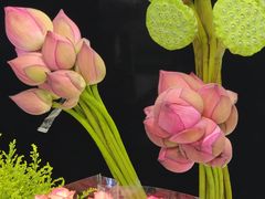 -双季花艺园艺市场(浦东店)