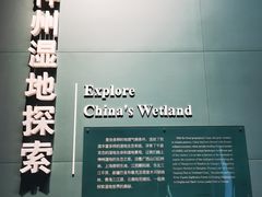 -中国湿地博物馆