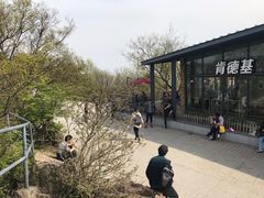 -紫金山山顶公园