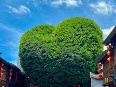 -广达眼镜炖罐(广达店)
