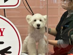 -FAELING PETS美天灵宠物(合生汇店)