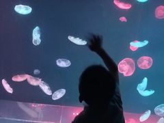 -台州海洋世界