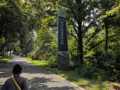 -青龙山国家森林公园