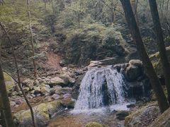 -牛背梁国家森林公园