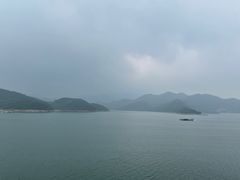 -望湖烤鱼