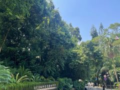 -深圳仙湖植物园