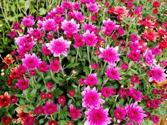 -上海市龙华烈士陵园