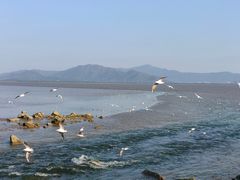 -深圳湾公园(南山区)